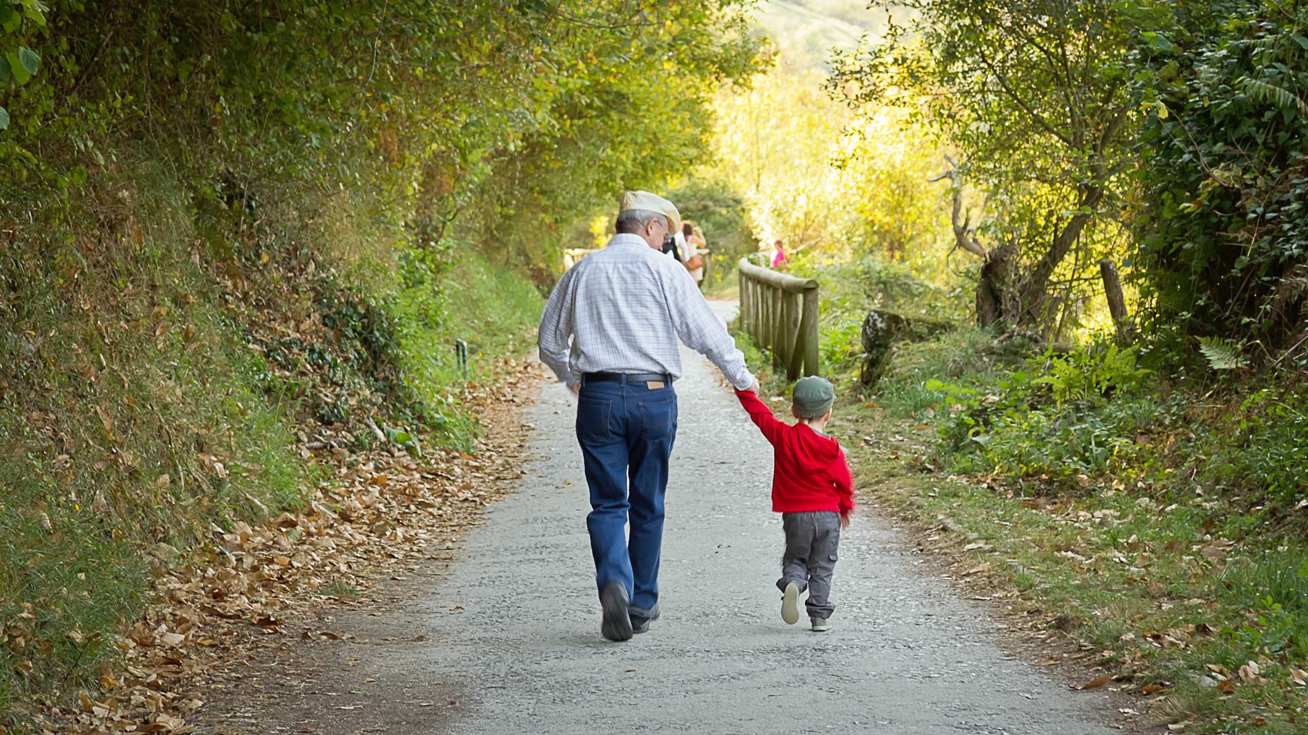 Grandfather and grandchild walking in nature path